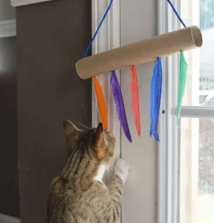 Игрушки для кошки своими руками!