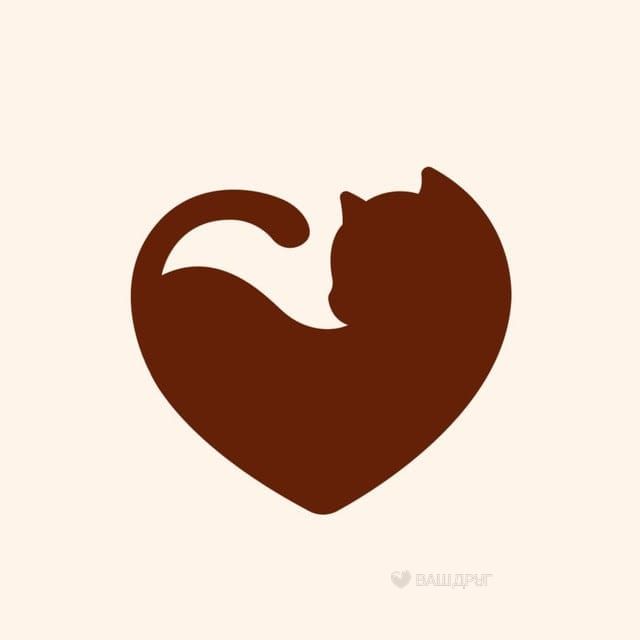 Котёнок Кнопа