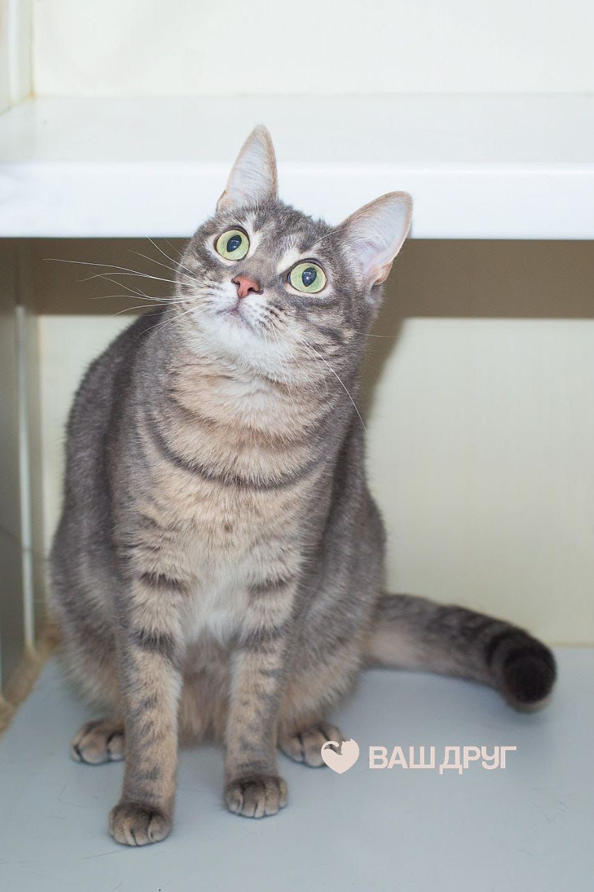 Главное фото Ляля