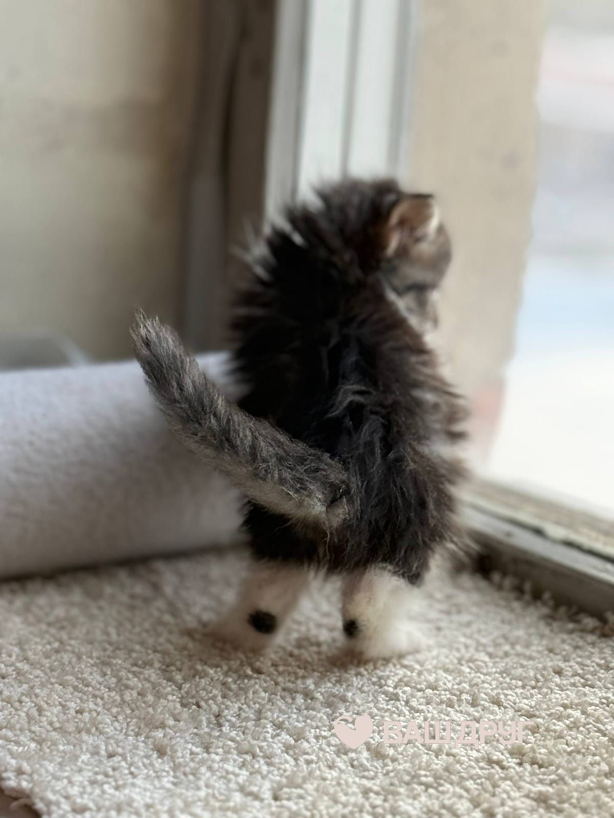 Сёма (Семён)