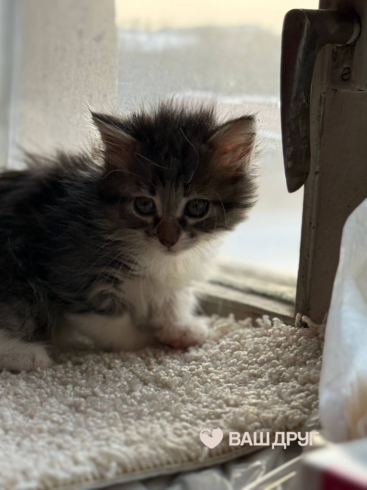 Сёма (Семён)