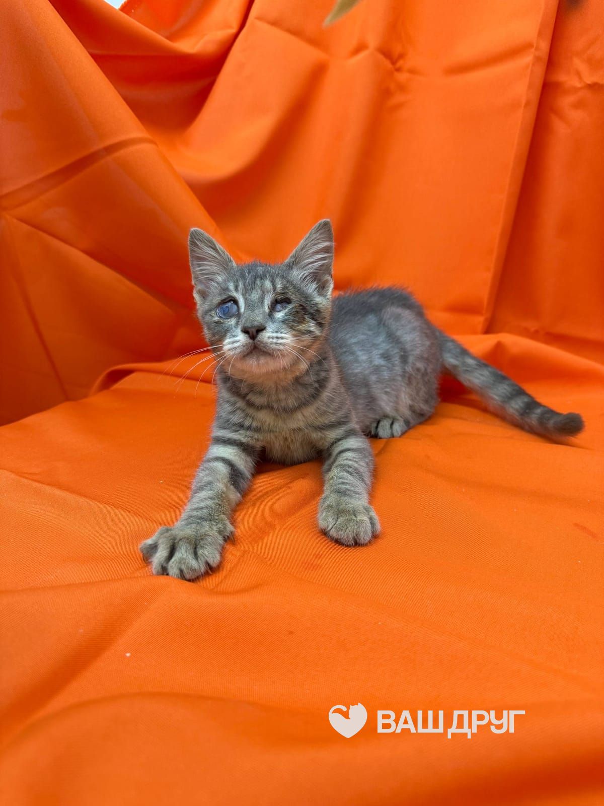 Томас